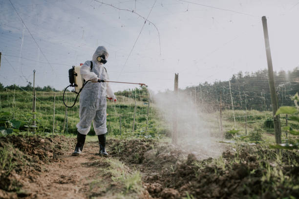 Best Commercial Pest Control Services  in Havre, MT