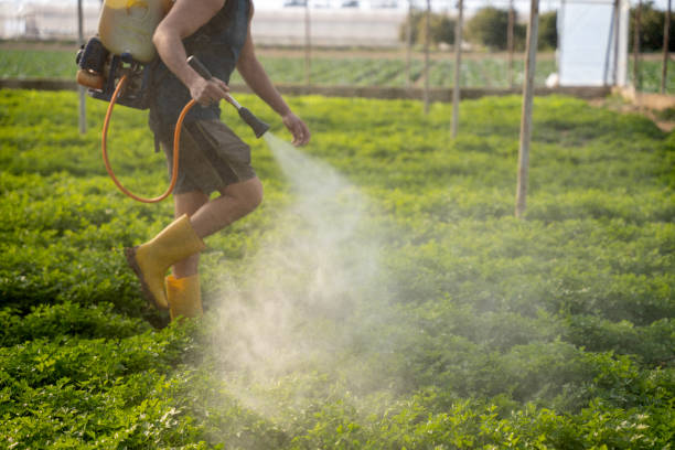Best Mosquito Control Services  in Havre, MT