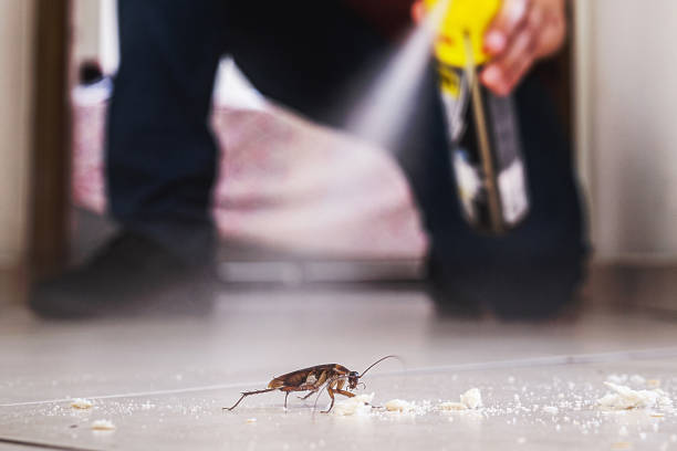 Pest Control for Restaurants in Havre, MT